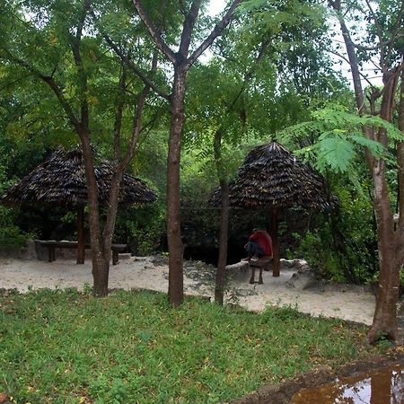 Baraka Aquarium Bungalows Nungwi Eksteriør billede