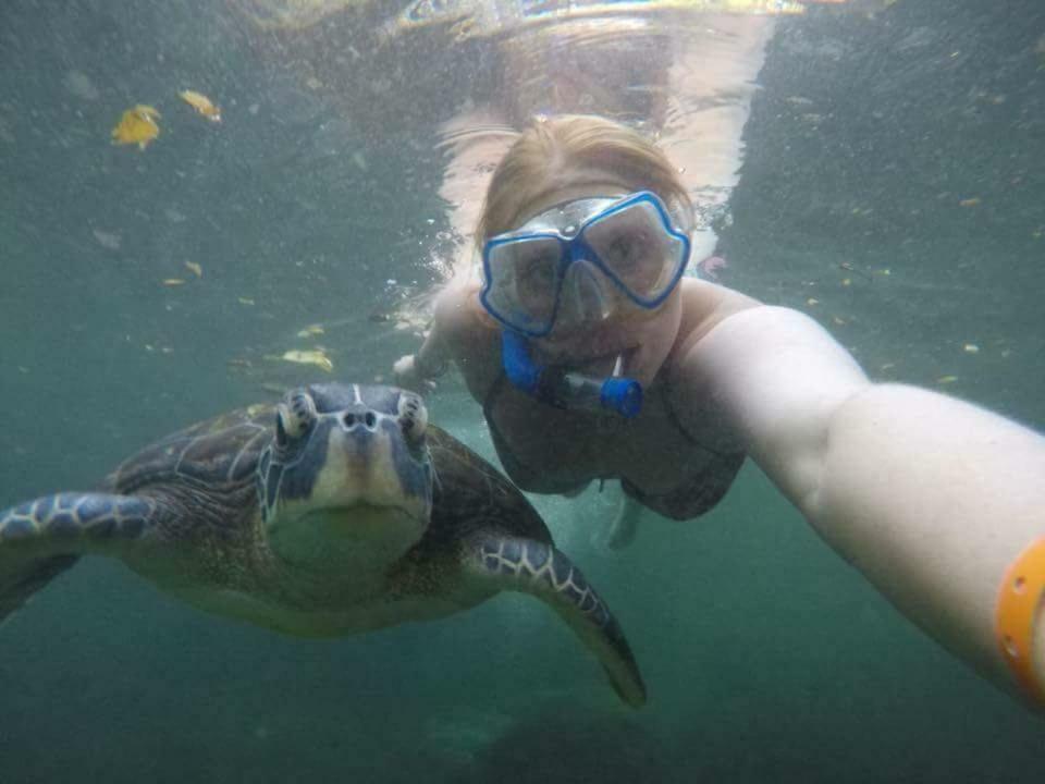 Baraka Aquarium Bungalows Nungwi Eksteriør billede