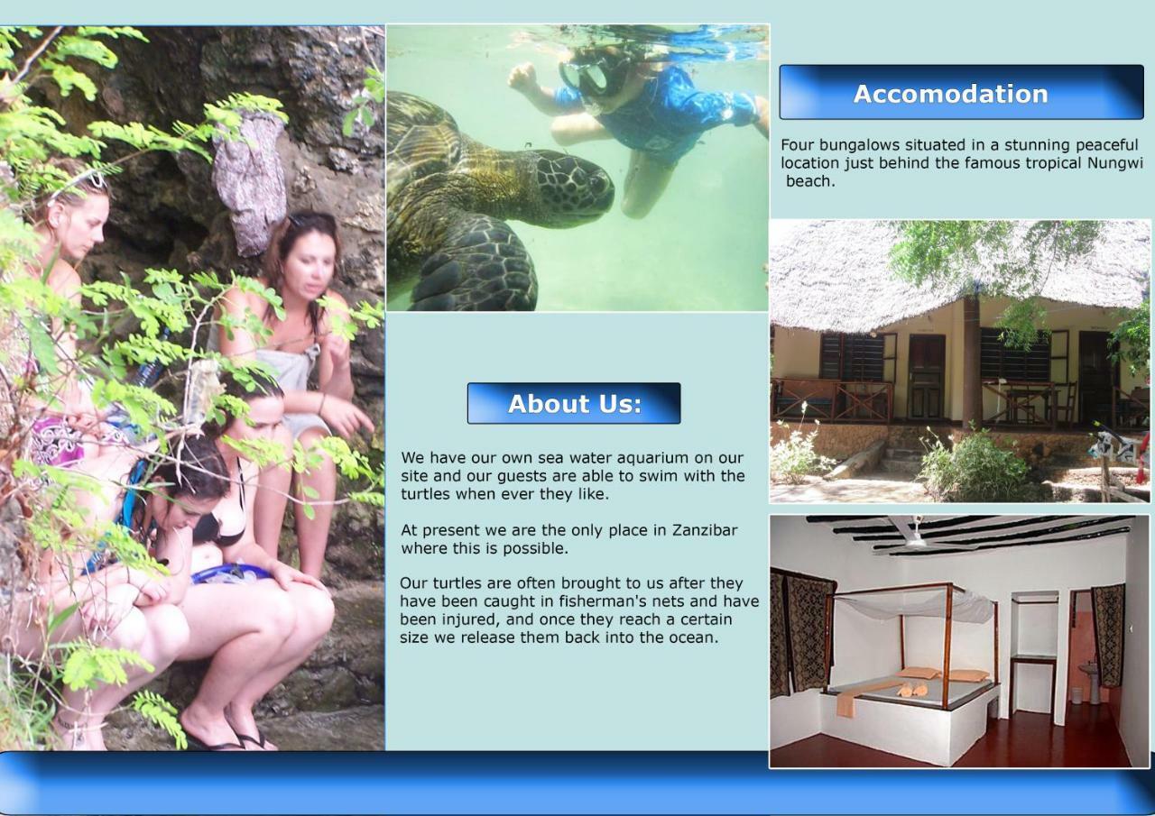 Baraka Aquarium Bungalows Nungwi Eksteriør billede