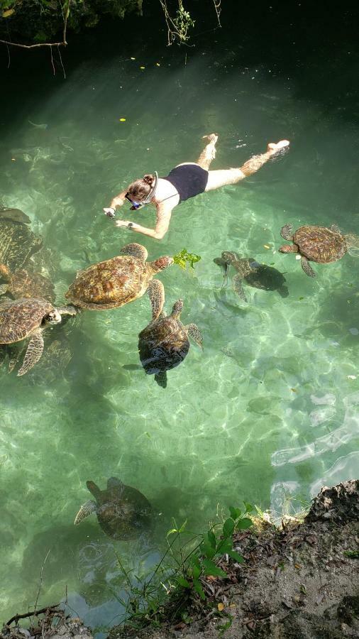 Baraka Aquarium Bungalows Nungwi Eksteriør billede